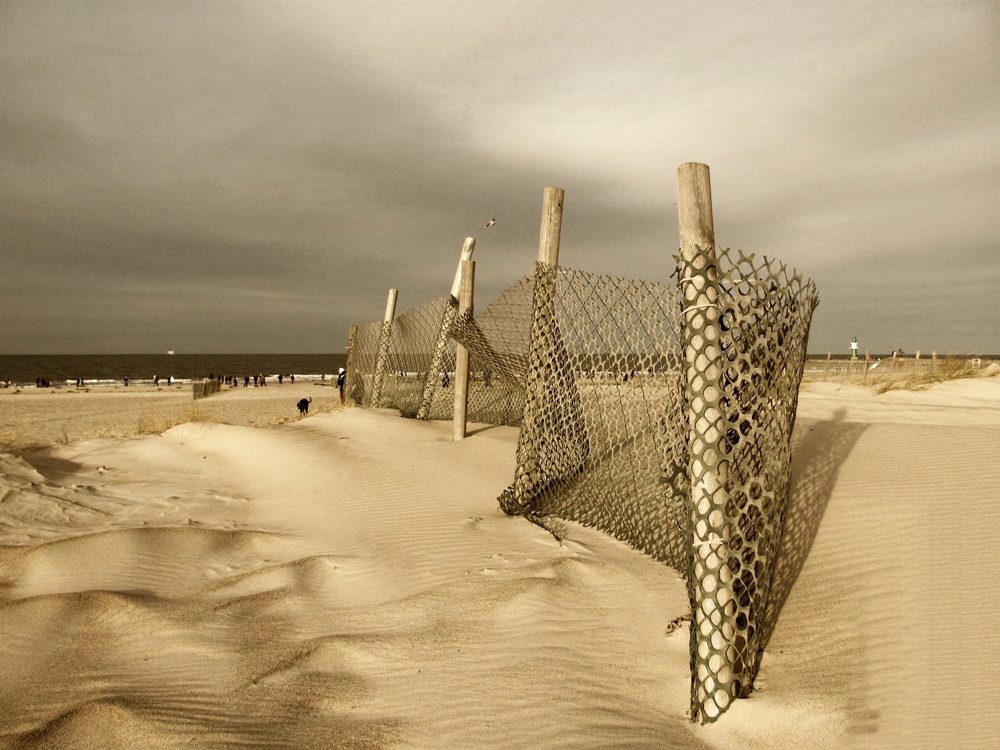 Stranddüne