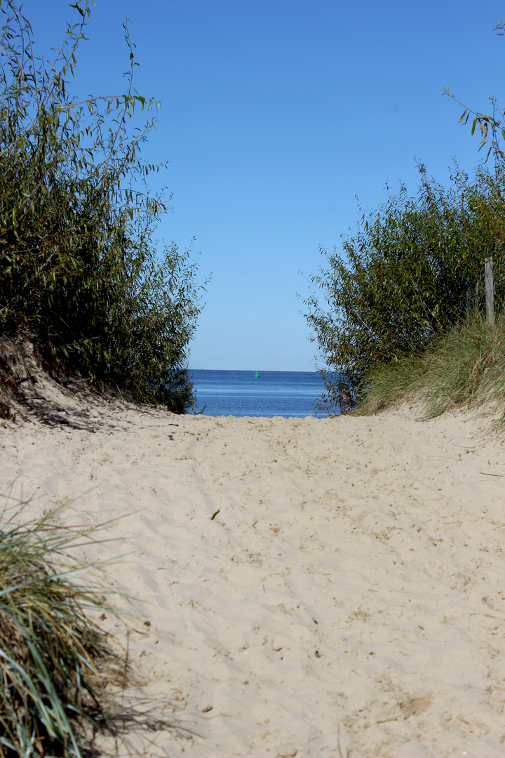 Stranddüne in Swinemünde