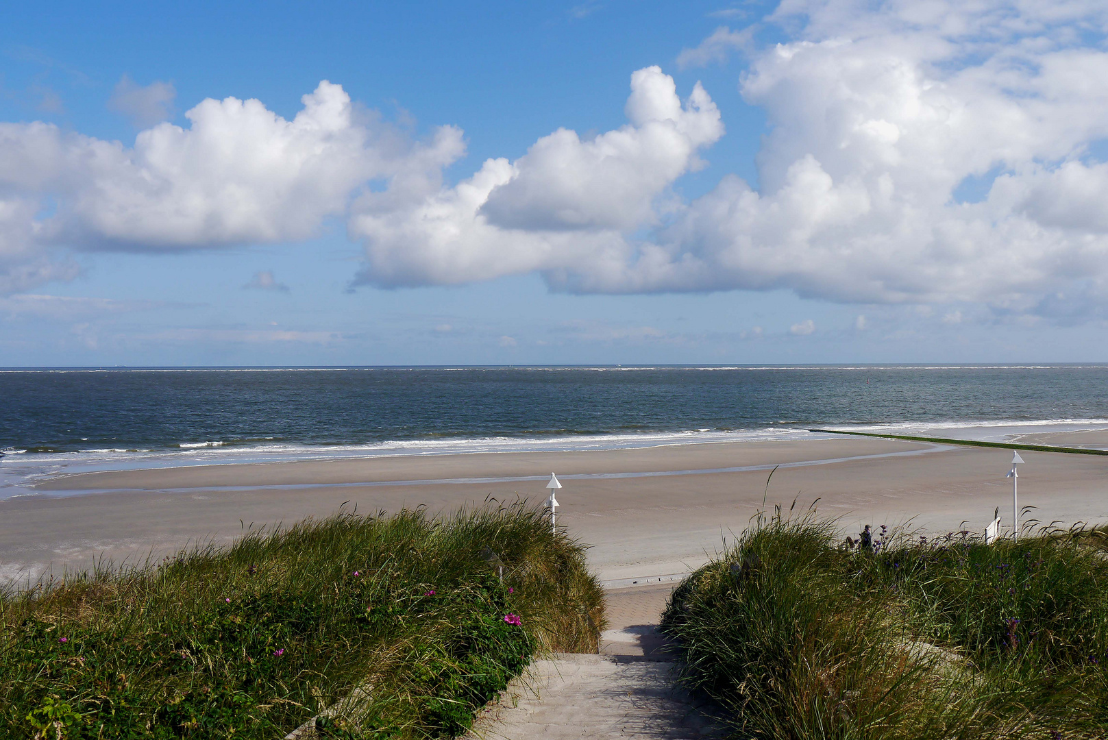 Stranddünen