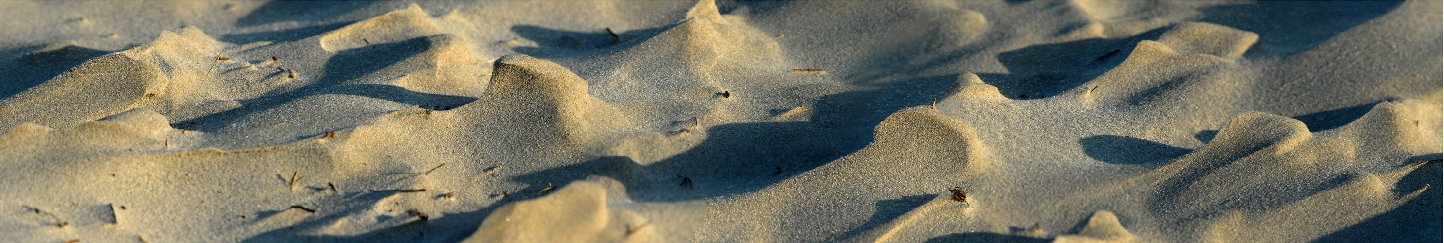 Stranddünen  auf Langeoog