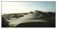 Stranddünen auf Röm / DK