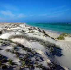 Stranddünen in Ägypten