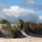 Stranddünen in Warnemünde