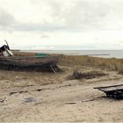 Stranddünen in Zingst