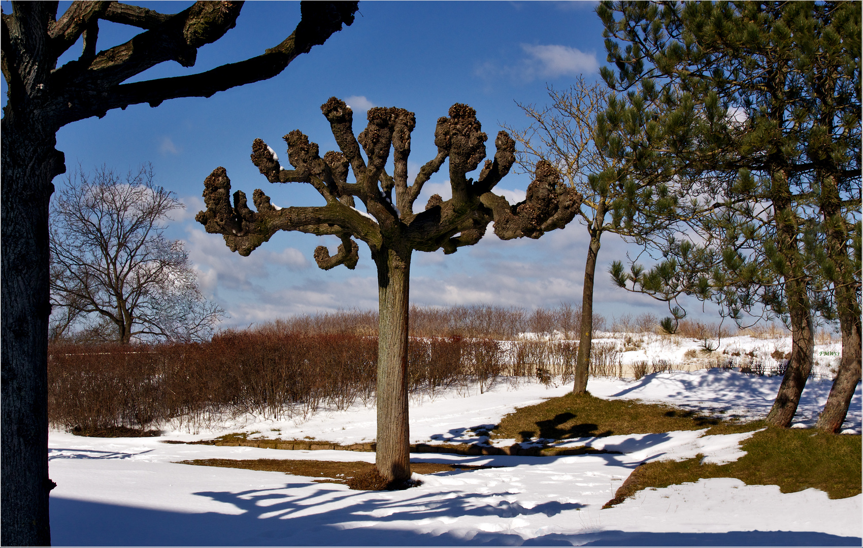 Stranddünen - Schnee vor Ostern