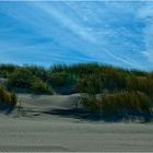 °Strand°Dünen°Himmel°