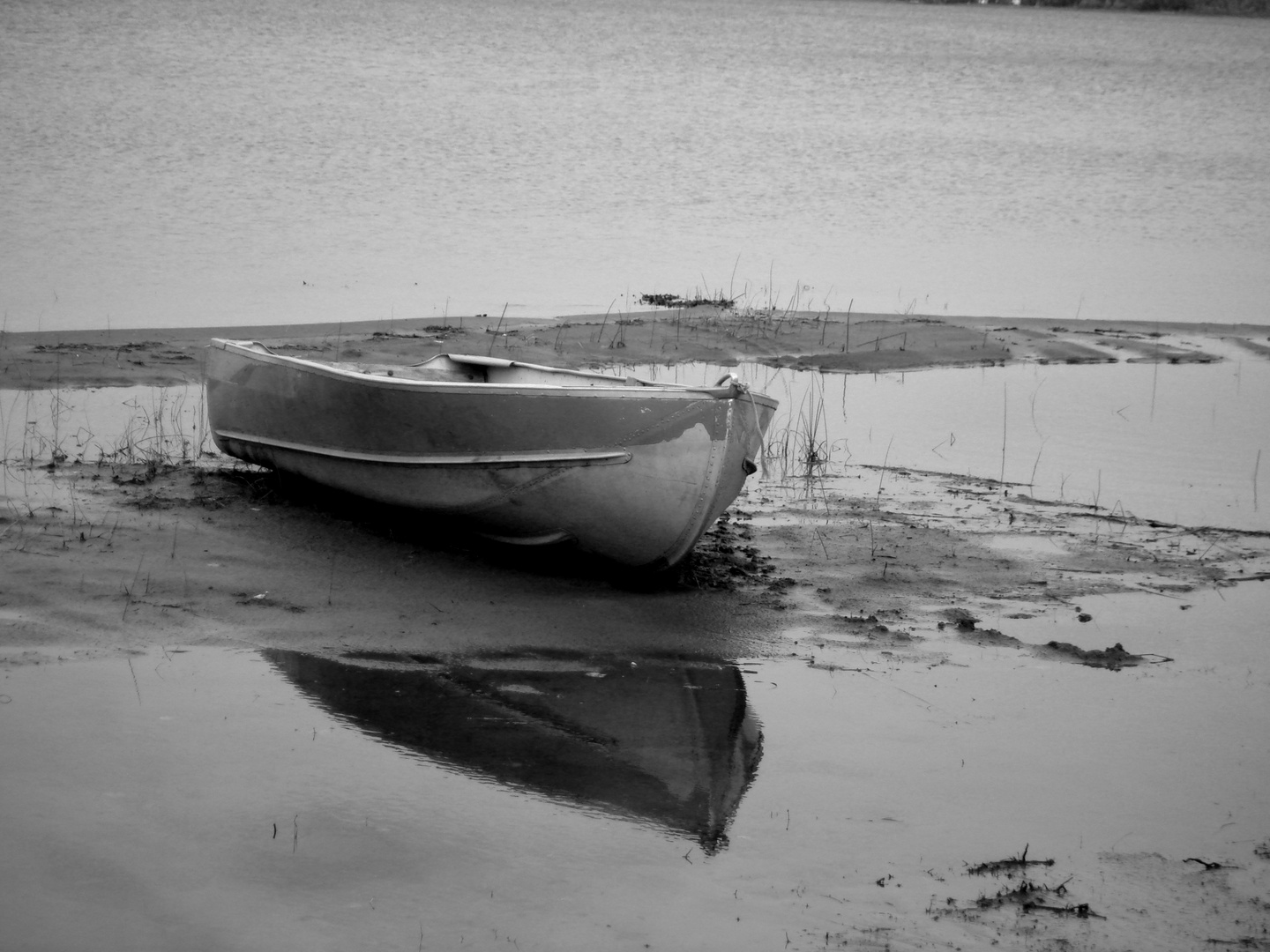 Stranded Boat