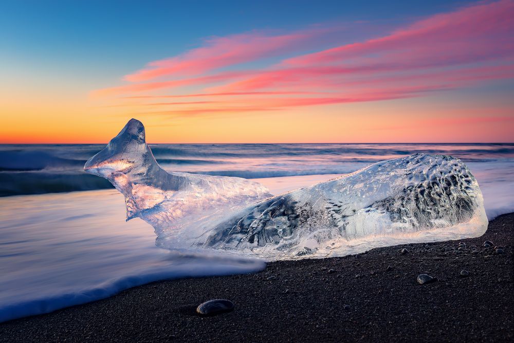 [stranded whale...]