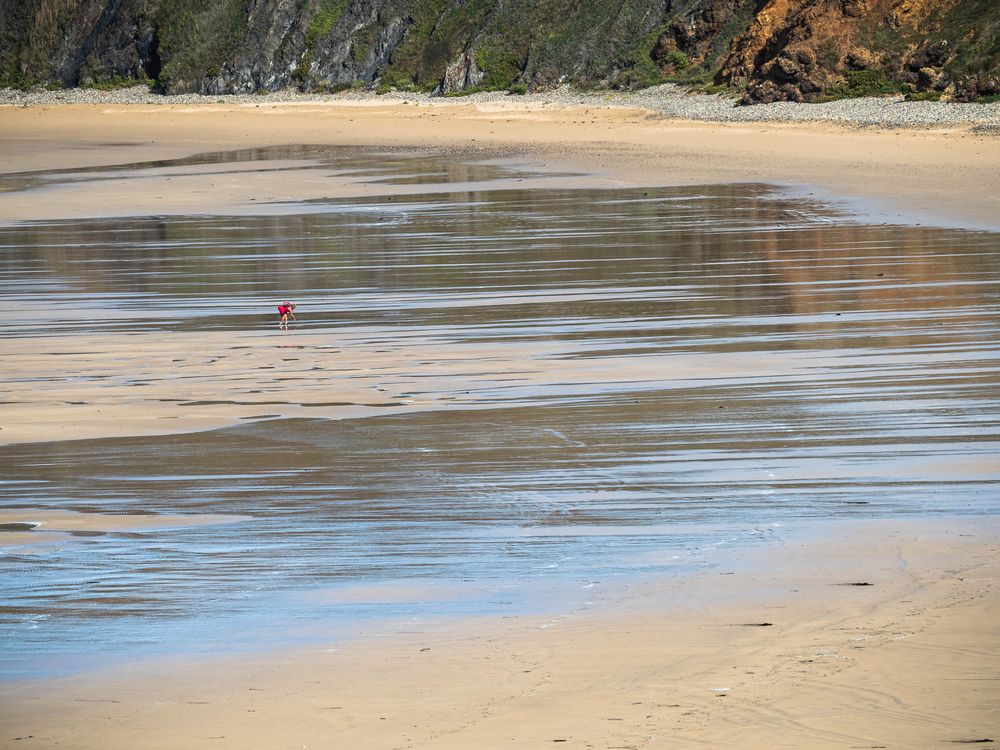 Strandentdeckungen