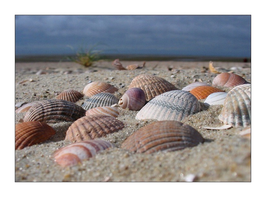 ...strandfarben...