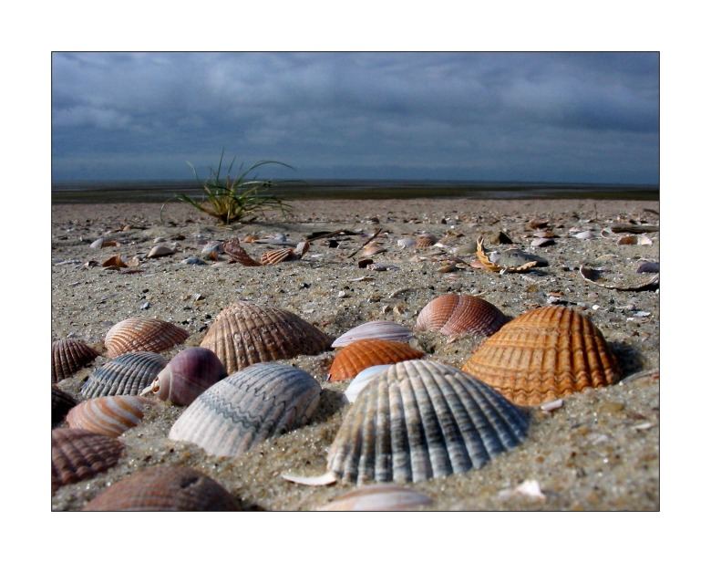 ...strandfarben II Foto & Bild | landschaft, meer & strand, natur