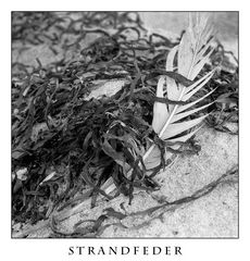 Strandfeder