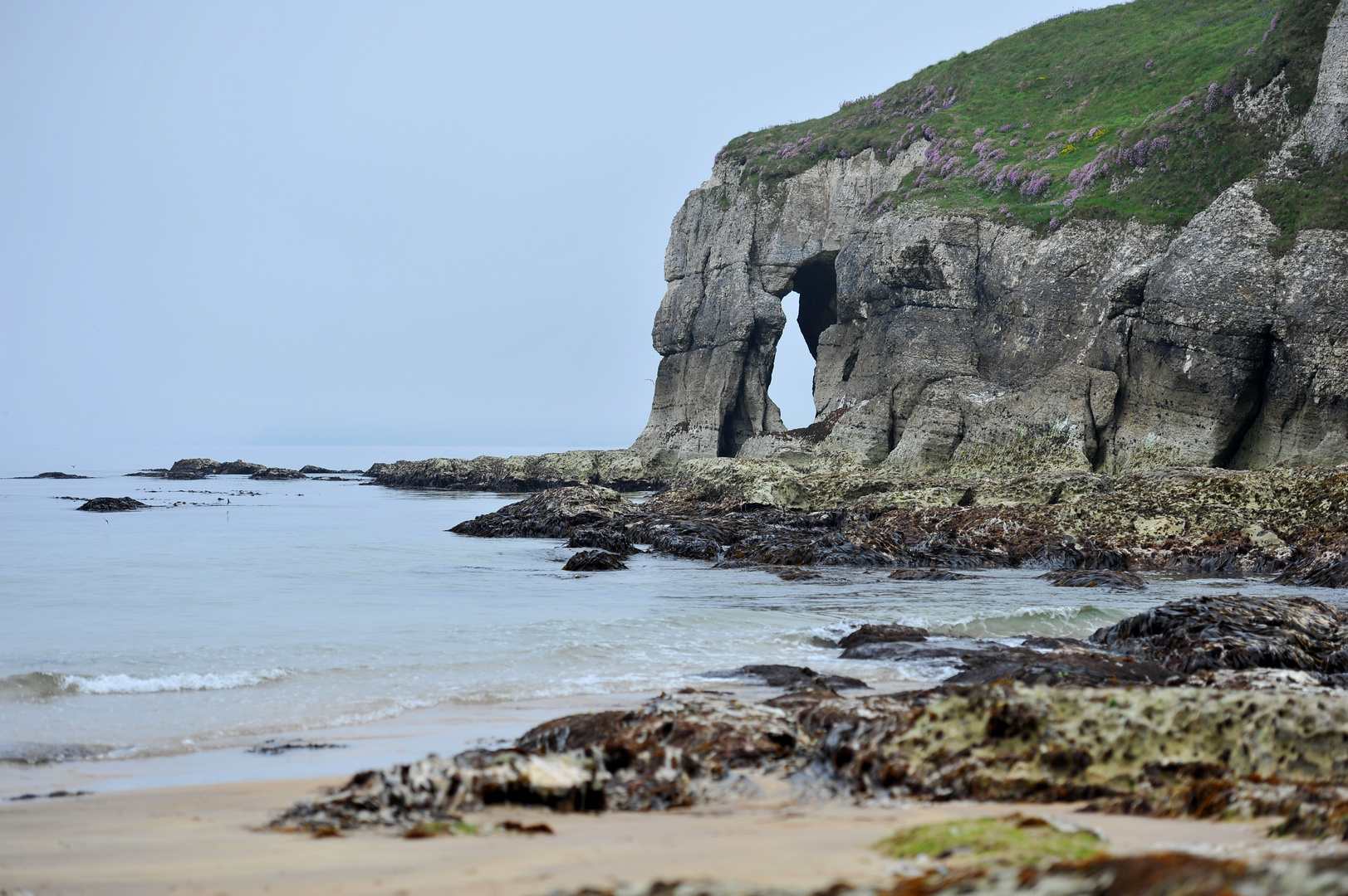 Strandfelsen, Klippen Irland