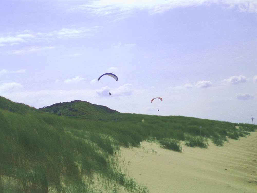 ... Strandflieger