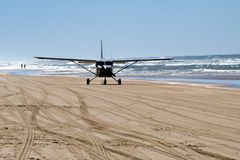 Strandflieger Fraser Island