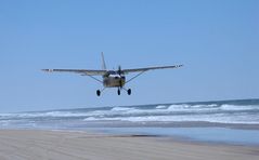 Strandflieger Fraser Island II