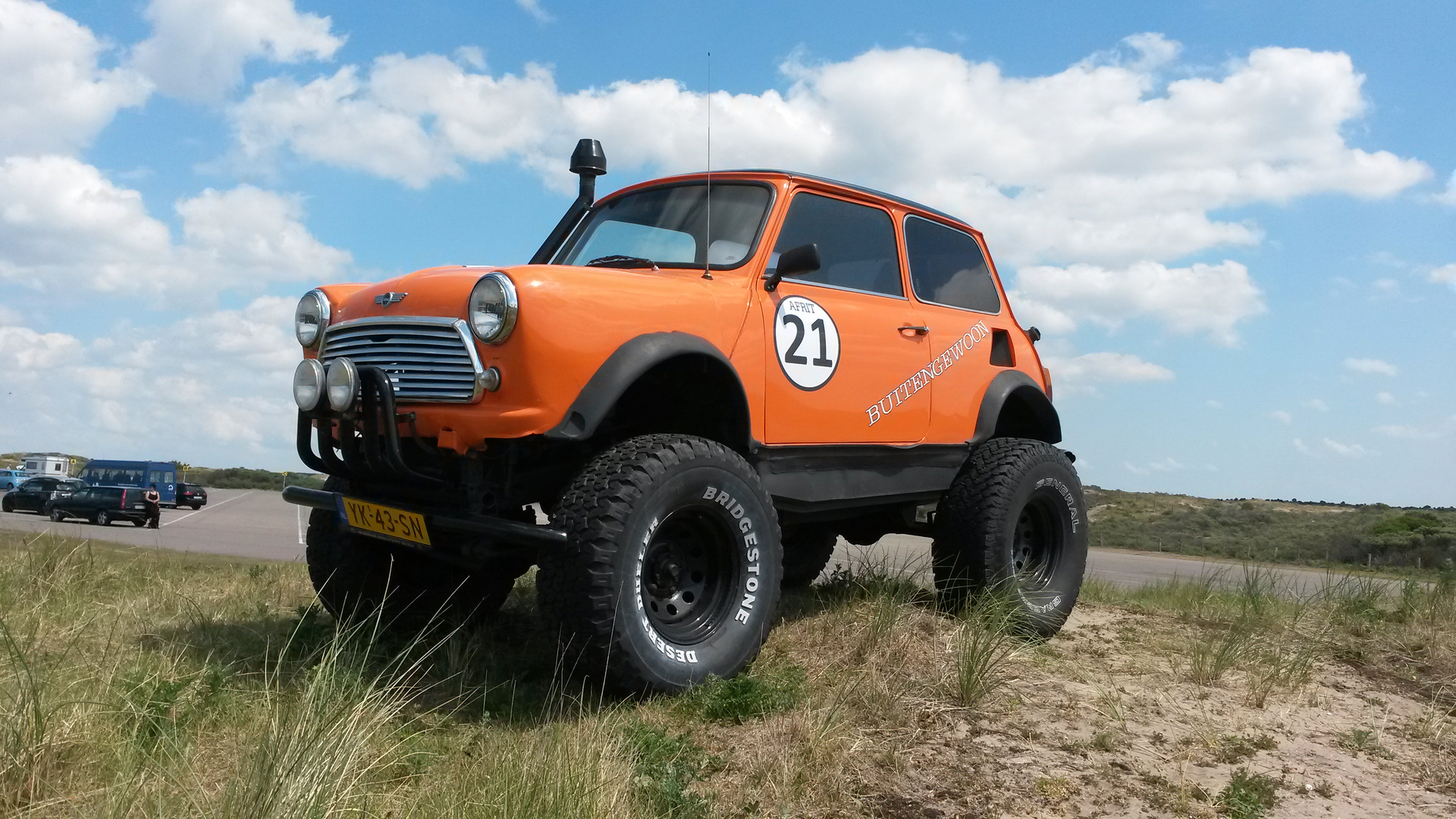 Strandfloh in Hollands Dünen " Mini Cooper"