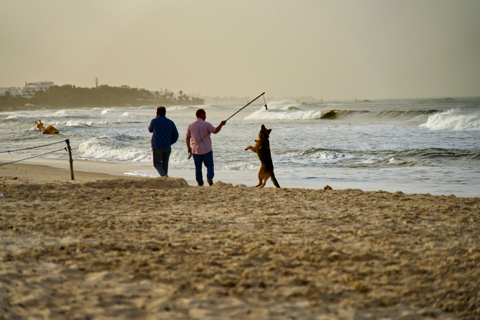 Strandfreude