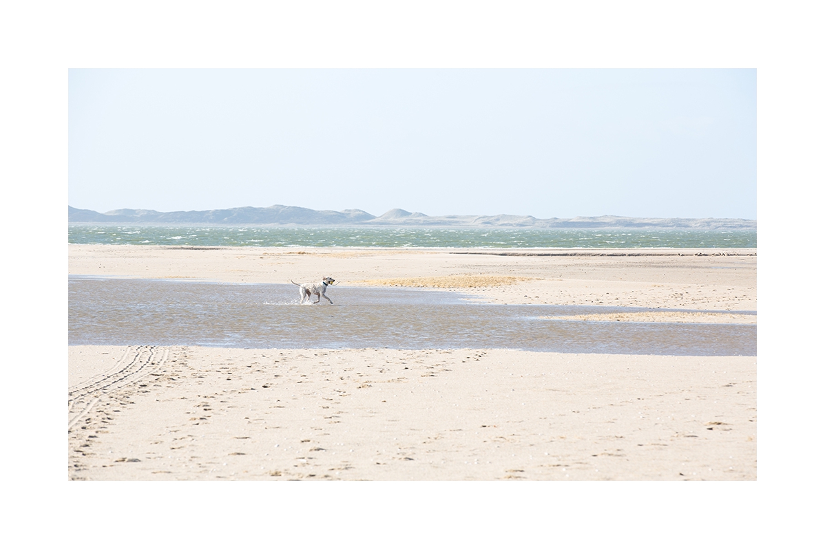 Strandfreuden