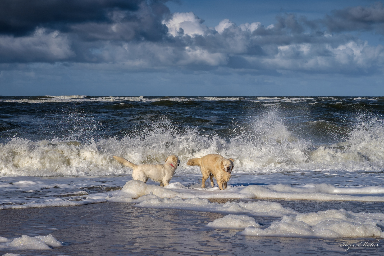 Strandfreundinnen