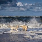 Strandfreundinnen