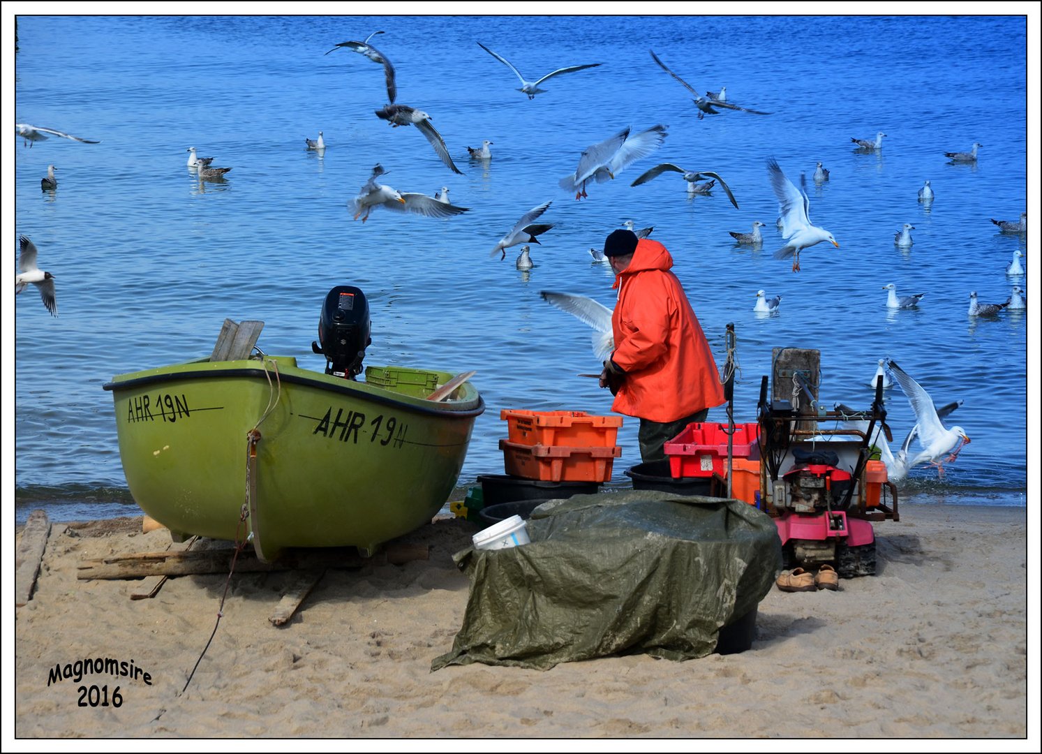 Strandfütterung