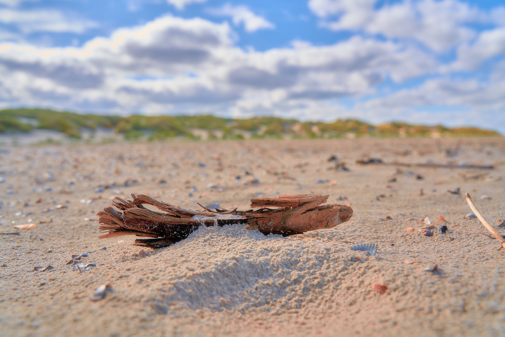 Strandfund