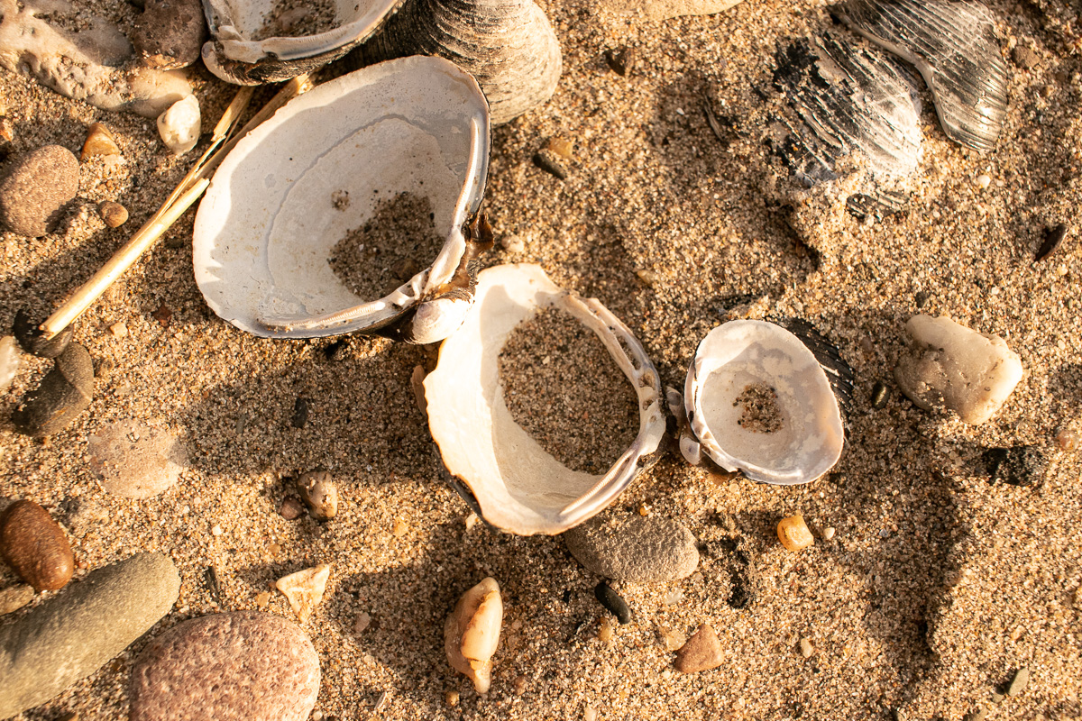 Strandfund am Rheinufer