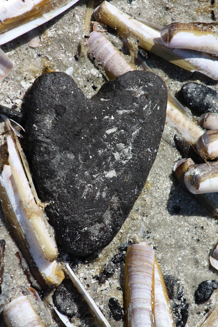 Strandfund: Herz