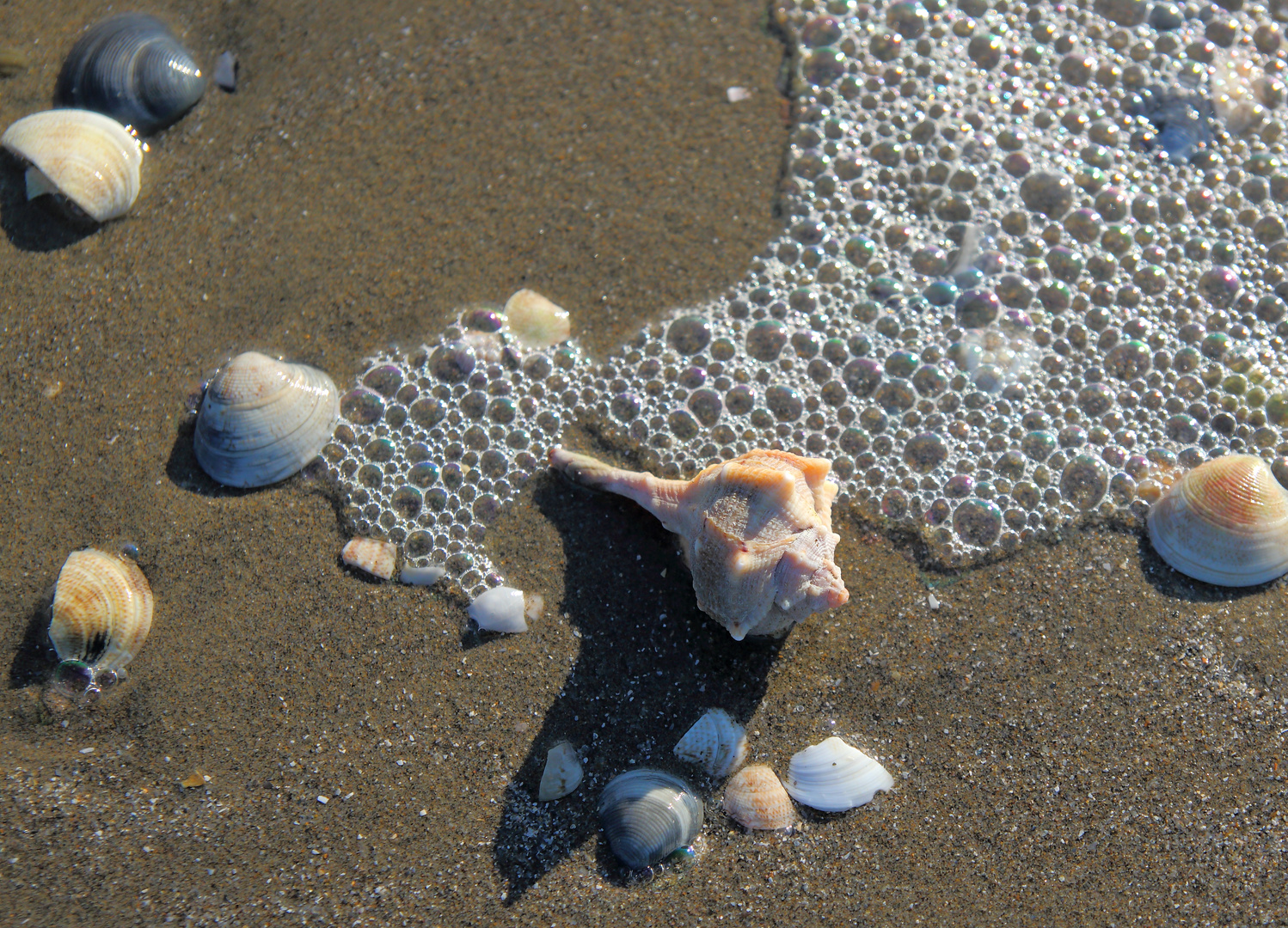 Strandfunde......