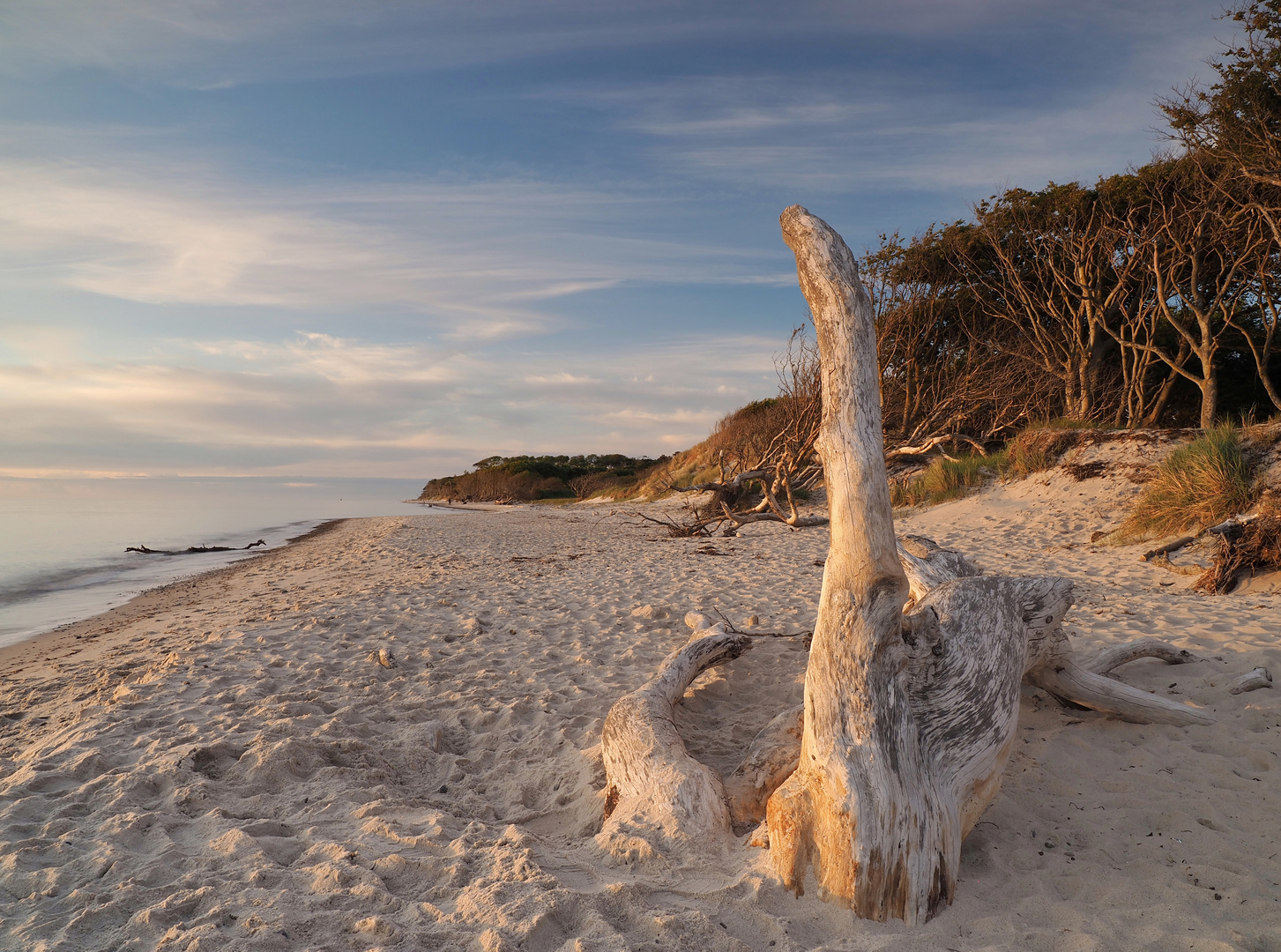 Strandfunde