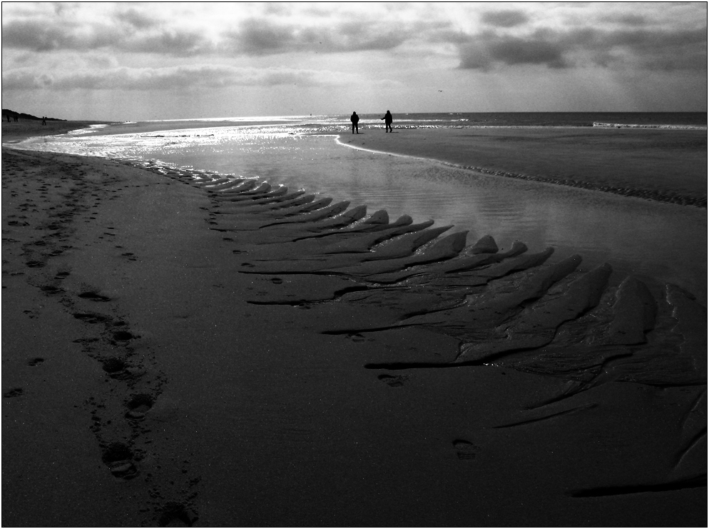 Strandgänger