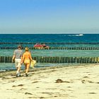 Strandgänger auf Hiddensee