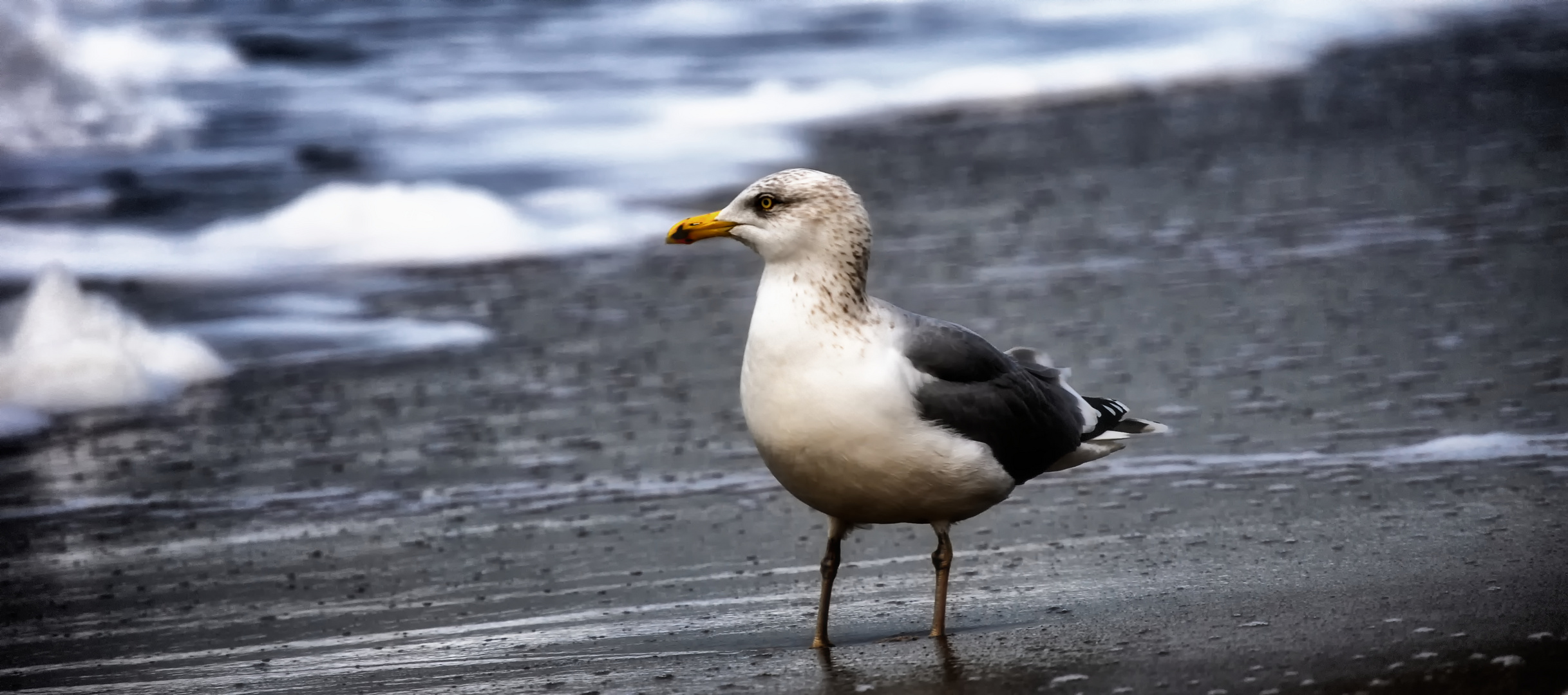 StrandGänger