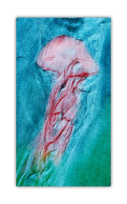 S(tr)andgallerie IX: Qualle im Sand