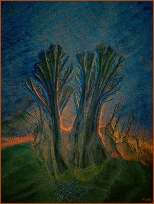 S(tr)andgallerie VIII: im letzten Licht des Tages