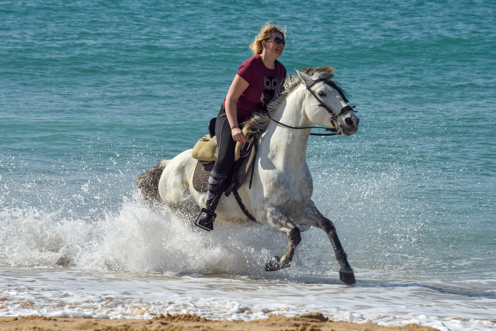 Strandgallop