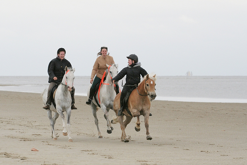 Strandgalopp