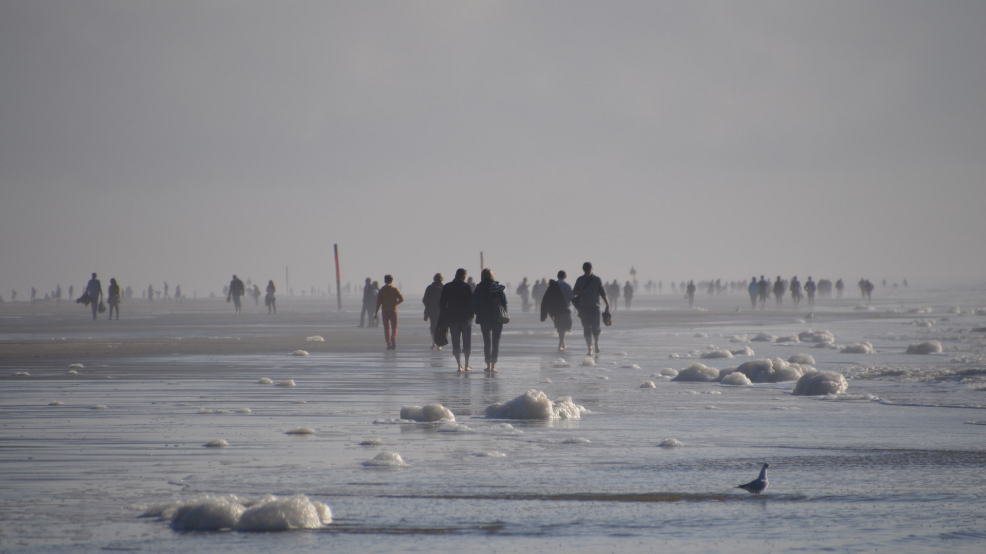 Strandgang in Sankt Peter-Ording