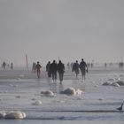 Strandgang in Sankt Peter-Ording