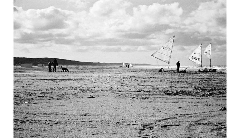 Strandgeflüster