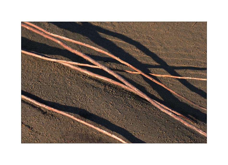 ...strandgeflüster... °6