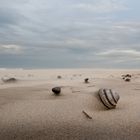 Strandgeflüster