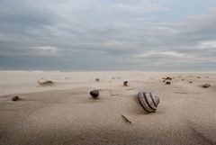 Strandgeflüster