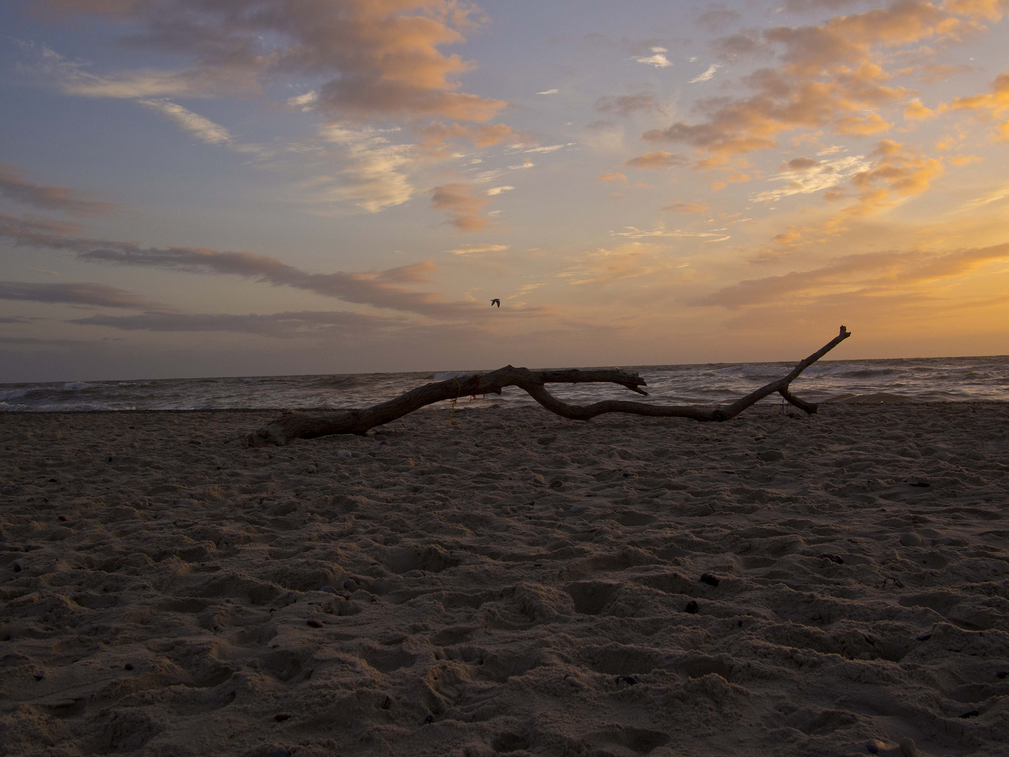 Strandgeflüster