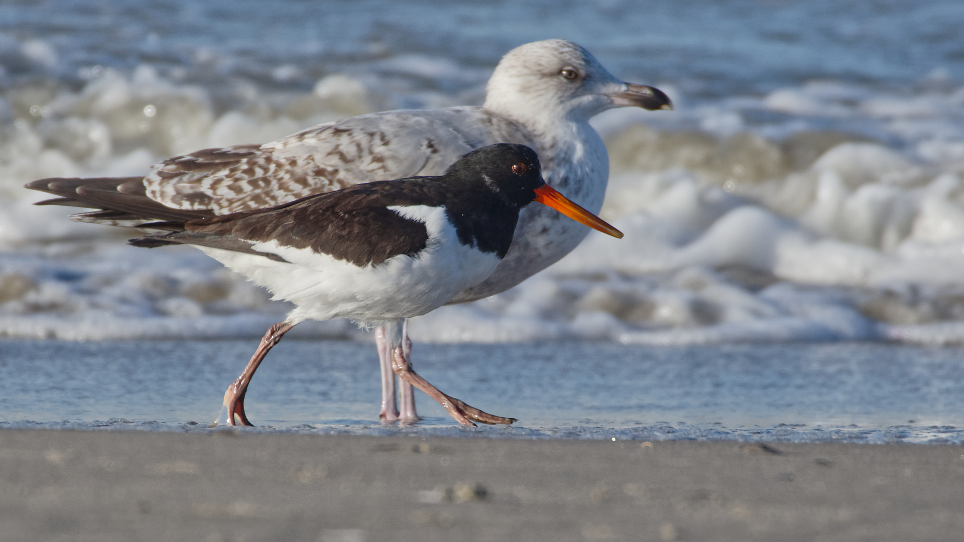 Strandgemeinschft