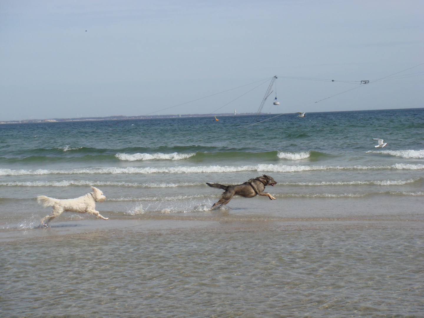 Strandgenießer!