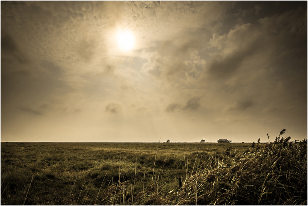 - Strandgeschichten -