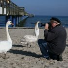 Strandgeschichten ....