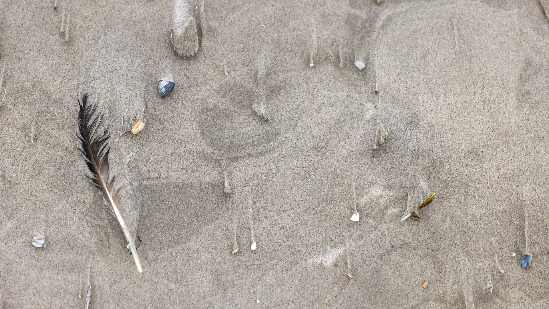 Strandgeschichten